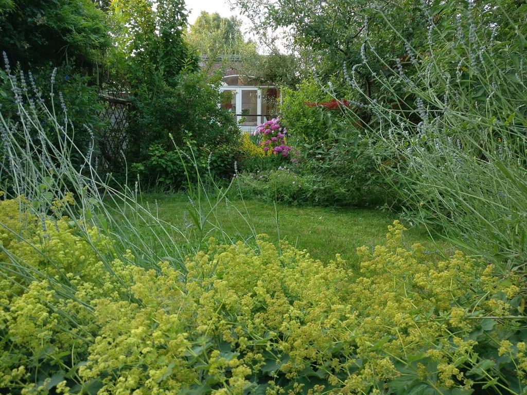Lush garden with lawn and blooming flowers